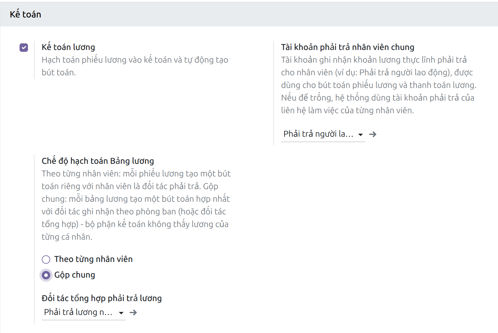 Mục Kế toán trong thiết lập Bảng lương với chế độ Gộp chung và đối tác tổng hợp