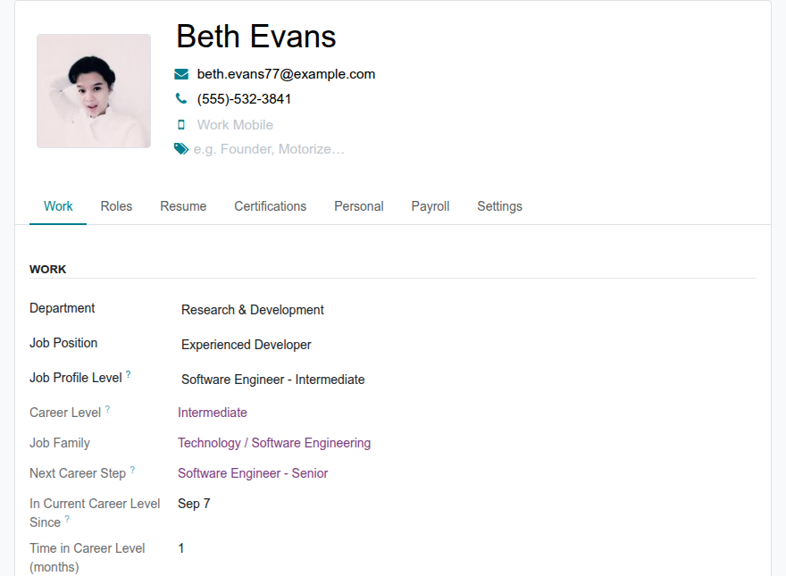 The employee Work tab with the job profile level, next career step and time in the current level