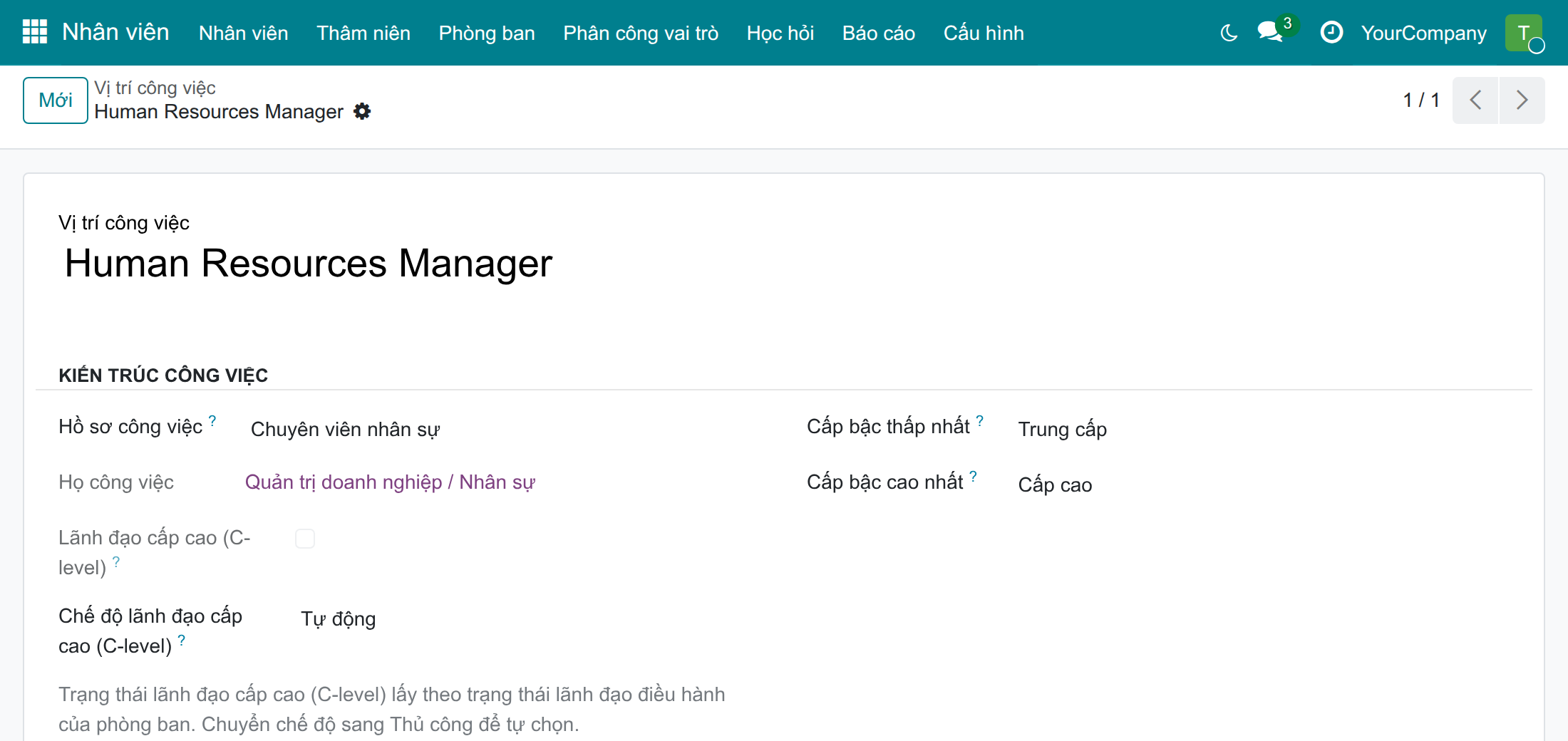 Vị trí công việc ở chế độ lãnh đạo cấp cao Tự động, ô Lãnh đạo cấp cao (C-level) chỉ đọc