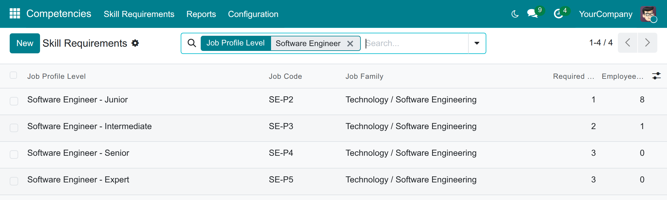 The job profile levels of the Software Engineer profile with their required skills and employees