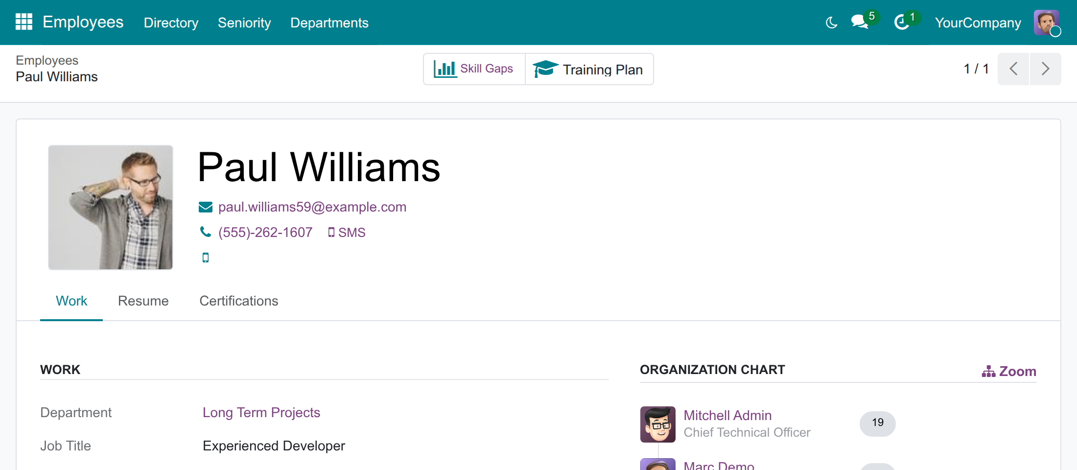 The profile of an employee with the Skill Gaps button