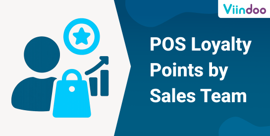 POS Loyalty Points by Sales Team