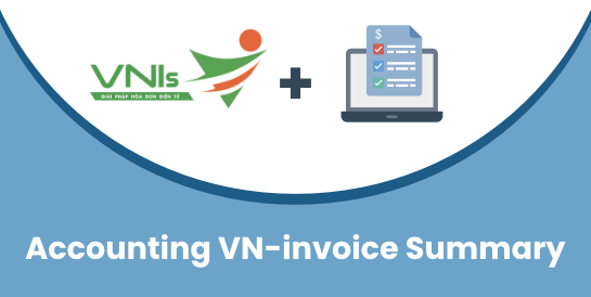 VN-Invoice: Summary Option for Flexible E-Invoice Issuing